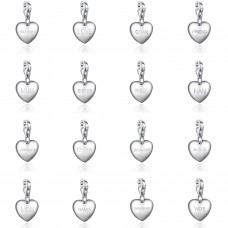 Clip on Charm